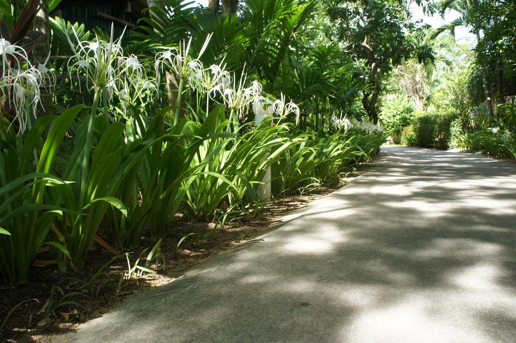 Palm Village Rawai Εξωτερικό φωτογραφία