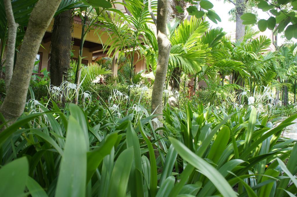 Palm Village Rawai Εξωτερικό φωτογραφία