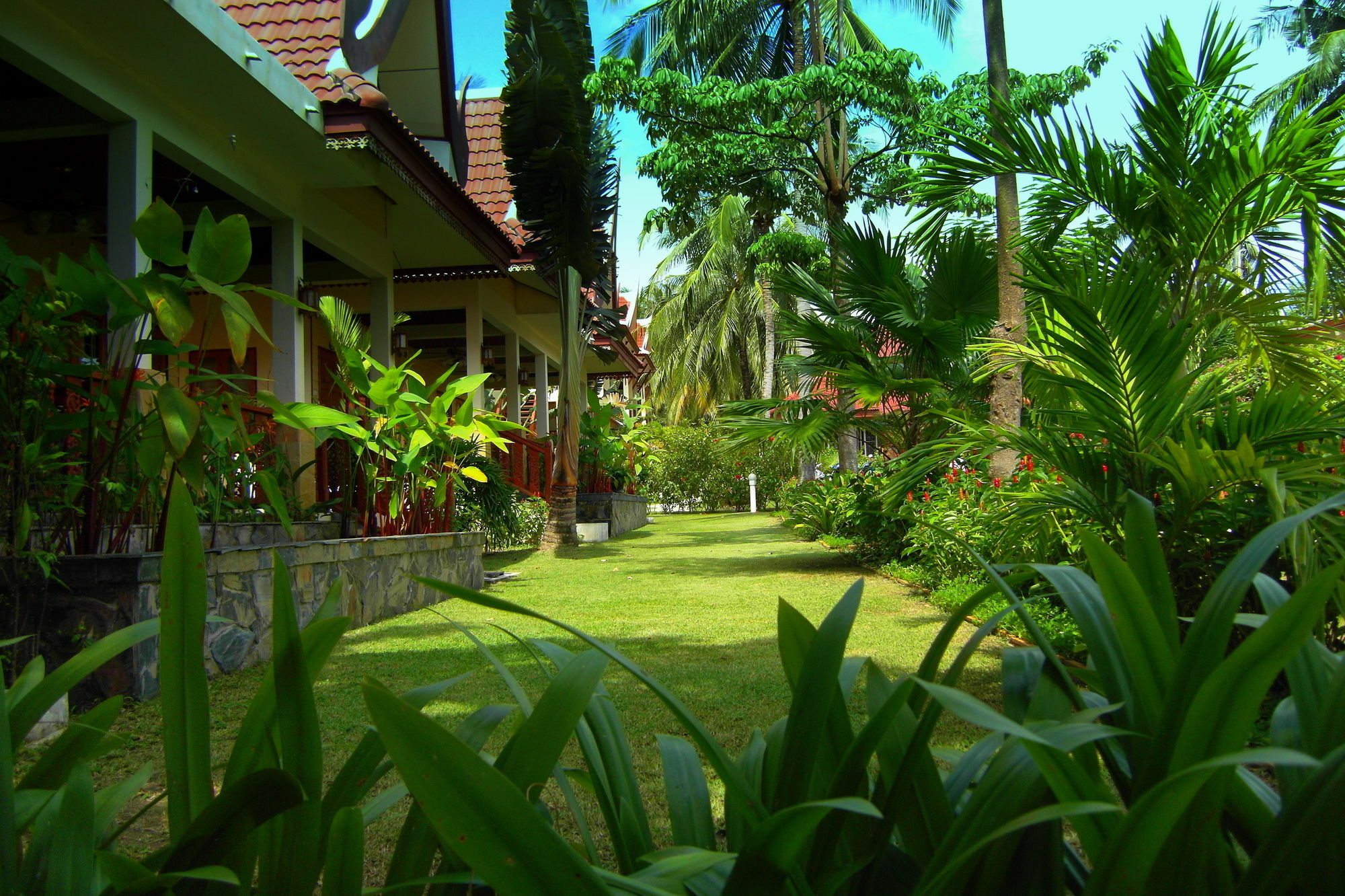 Palm Village Rawai Εξωτερικό φωτογραφία